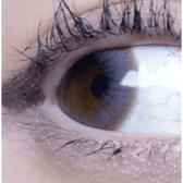 Olens Polla Gray — single-eye close-up showing the contact lens appearance