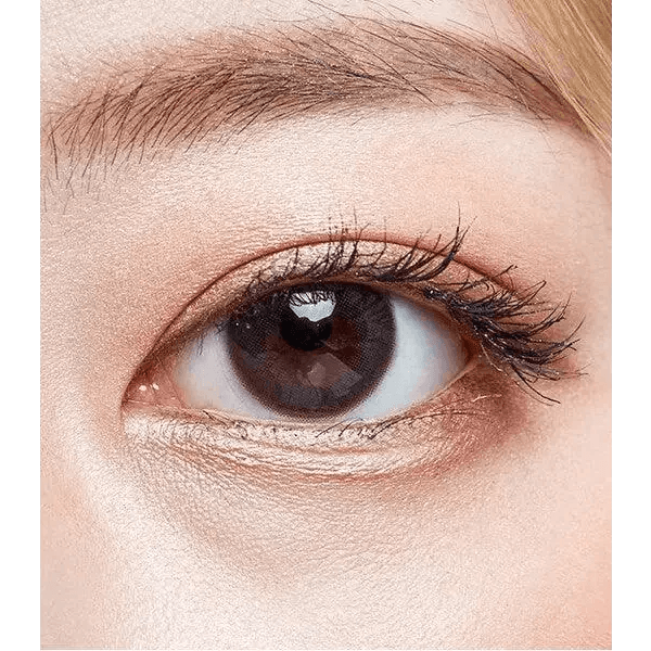 Olens Polla Gray — single-eye close-up showing the contact lens appearance