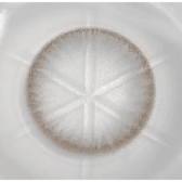 Olens Polla Gray — close-up of the contact lens design