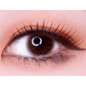 LensTown Precollege Brown — single-eye close-up showing the contact lens appearance