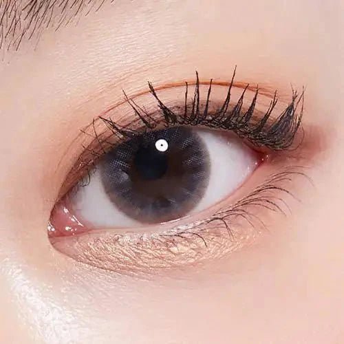 LensTown Precollege Gray — single-eye close-up showing the contact lens appearance