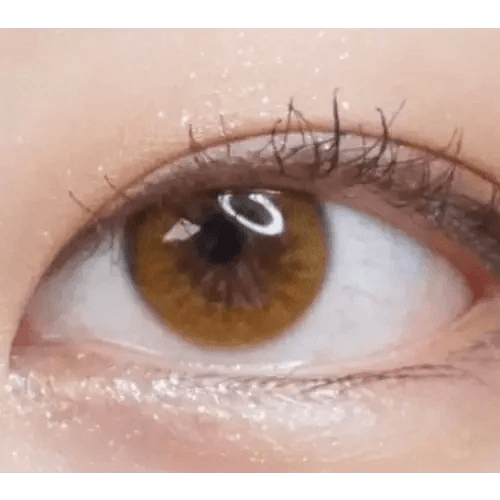 LensRang Real Brown — single-eye close-up showing the contact lens appearance
