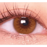 LensRang Real Brown — single-eye close-up showing the contact lens appearance
