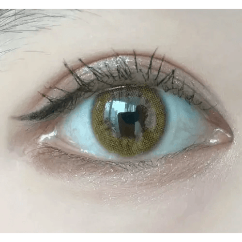 LensRang Real Brown — single-eye close-up showing the contact lens appearance