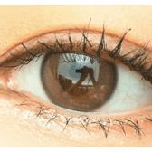 Olens Real Ring 1Day Brown (20p) — single-eye close-up showing the contact lens appearance