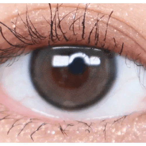 Olens Real Ring Gray — single-eye close-up showing the contact lens appearance