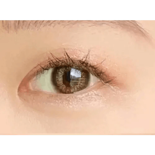 LensTown Renaissance Brown — single-eye close-up showing the contact lens appearance