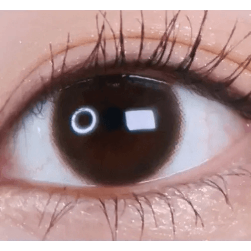 LensVery Rich Ann Cafe Choco (6p) — single-eye close-up showing the contact lens appearance