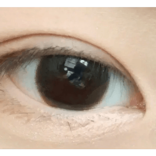 LensVery Rich Ann Cafe Choco (6p) — single-eye close-up showing the contact lens appearance