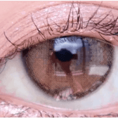 LensVery Rich Ann Indie Brown (6p) — single-eye close-up showing the contact lens appearance