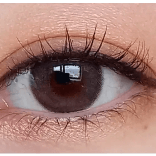 LensVery Rich Ann Indie Gray (6p) — single-eye close-up showing the contact lens appearance