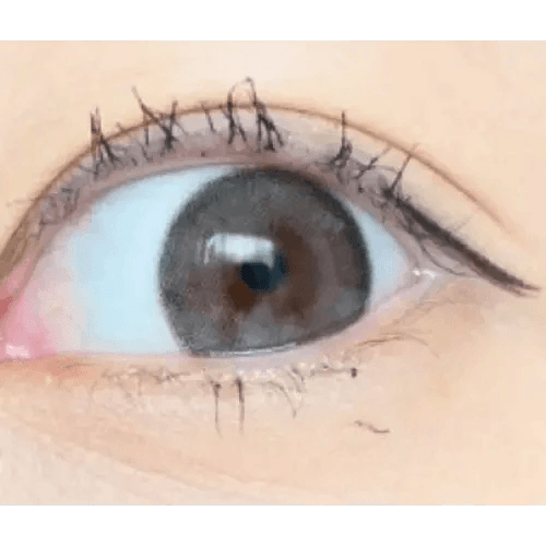 LensVery Rich Ann Indie Gray (6p) — single-eye close-up showing the contact lens appearance