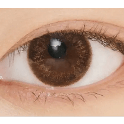 LensVery Rich Ann Jenny Brown (6p) — single-eye close-up showing the contact lens appearance
