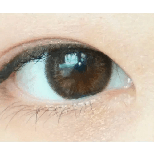 LensVery Rich Ann Jenny Brown (6p) — single-eye close-up showing the contact lens appearance