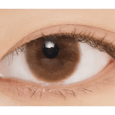 LensVery Rich Ann Latte Brown (6p) — single-eye close-up showing the contact lens appearance