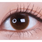 LensVery Rich Ann Latte Brown (6p) — single-eye close-up showing the contact lens appearance