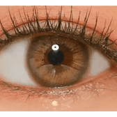 LensVery Rich Ann Mellow Brown (6p) — single-eye close-up showing the contact lens appearance