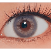 LensVery Rich Ann Mellow Gray (6p) — single-eye close-up showing the contact lens appearance