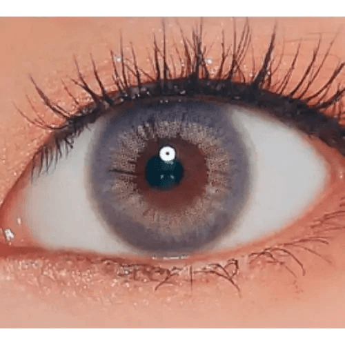 LensVery Rich Ann Mellow Gray (6p) — single-eye close-up showing the contact lens appearance