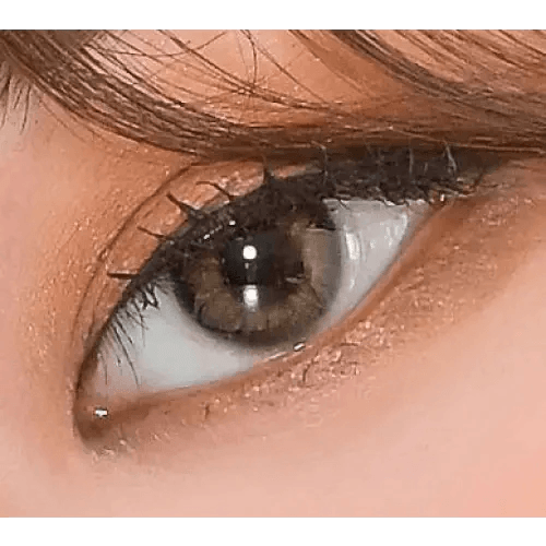 LensVery Rich Ann Natural Brown (6p) — single-eye close-up showing the contact lens appearance