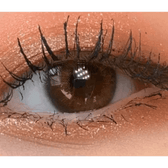 LensVery Rich Ann Natural Brown (6p) — single-eye close-up showing the contact lens appearance