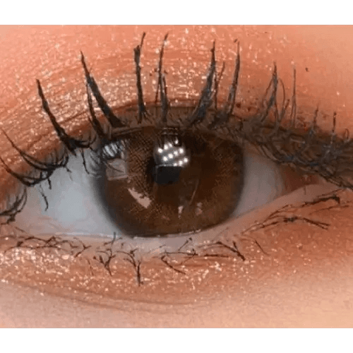 LensVery Rich Ann Natural Brown (6p) — single-eye close-up showing the contact lens appearance