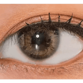 LensVery Rich Ann Natural Brown (6p) — single-eye close-up showing the contact lens appearance