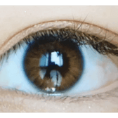 LensVery Rich Ann Natural Brown (6p) — single-eye close-up showing the contact lens appearance