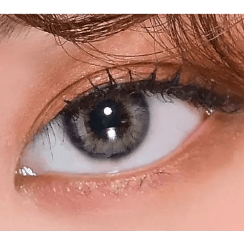 LensVery Rich Ann Natural Gray (6p) — single-eye close-up showing the contact lens appearance
