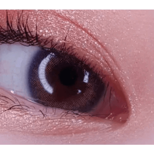 LensVery Rich Ann Natural Gray (6p) — single-eye close-up showing the contact lens appearance