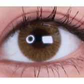 LensVery Rich Ann Shine Brown (6p) — single-eye close-up showing the contact lens appearance