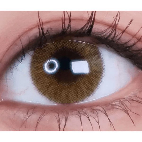 LensVery Rich Ann Shine Brown (6p) — single-eye close-up showing the contact lens appearance
