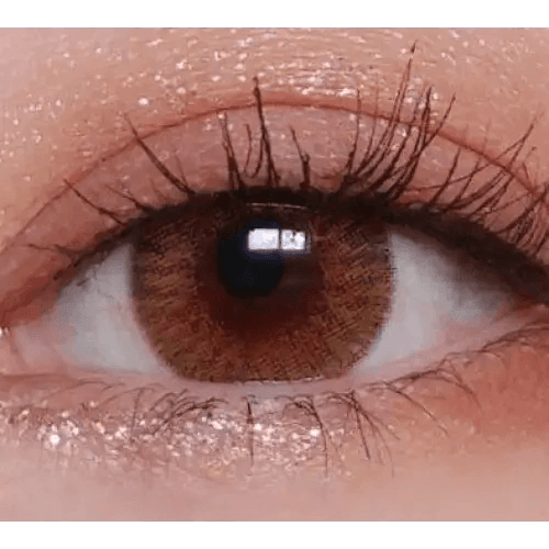 LensVery Rich Ann Shine Brown (6p) — single-eye close-up showing the contact lens appearance