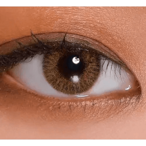 LensVery Rich Ann Shine Brown (6p) — single-eye close-up showing the contact lens appearance