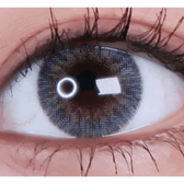 LensVery Rich Ann Shine Gray (6p) — single-eye close-up showing the contact lens appearance