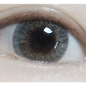 LensVery Rich Ann Shine Gray (6p) — single-eye close-up showing the contact lens appearance