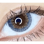 LensVery Rich Ann Shine Gray (6p) — single-eye close-up showing the contact lens appearance
