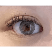 Olens Rich Gray — single-eye close-up showing the contact lens appearance