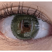 Olens Rich Green — single-eye close-up showing the contact lens appearance