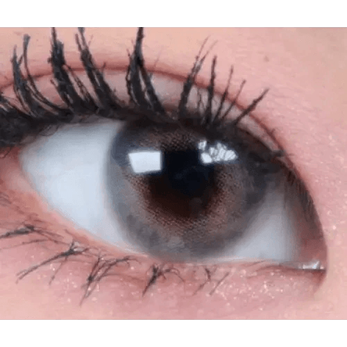 LensTown Romantea London 1Day Gray (10p) colored contact lens, 13.3mm graphic diameter, Daily wear
