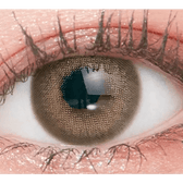 LensTown Romantea London 1Day Brown (10p) — single-eye close-up showing the contact lens appearance