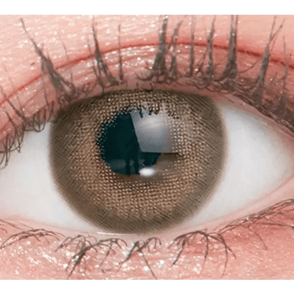 LensTown Romantea London 1Day Brown (10p) colored contact lens, 13.3mm graphic diameter, Daily wear