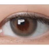 LensTown Romantea London 1Day Olive Green (10p) — single-eye close-up showing the contact lens appearance