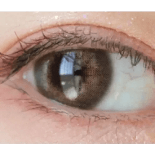 LensTown Romantea London Brown — single-eye close-up showing the contact lens appearance