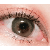 LensTown Romantea London Olive Green — single-eye close-up showing the contact lens appearance