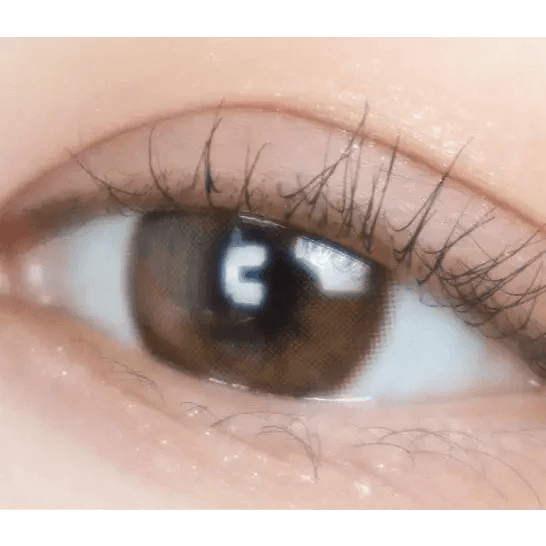LensTown Romantea Ring 1Day Brown (10p) — single-eye close-up showing the contact lens appearance