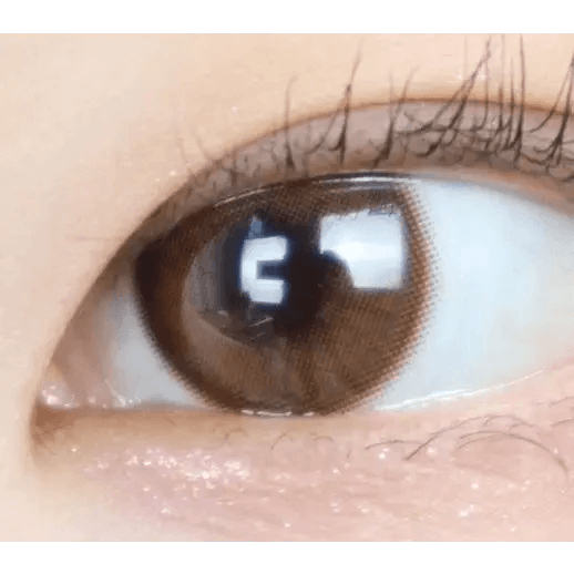 LensTown Romantea Ring 1Day Brown (10p) — single-eye close-up showing the contact lens appearance