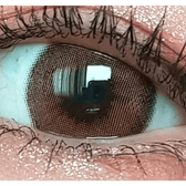 LensTown Romantea Rose Beige Brown Toric — single-eye close-up showing the contact lens appearance