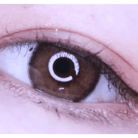 LENSTOWN Romantea Rose Nude Brown Contact Lenses – KPOP2