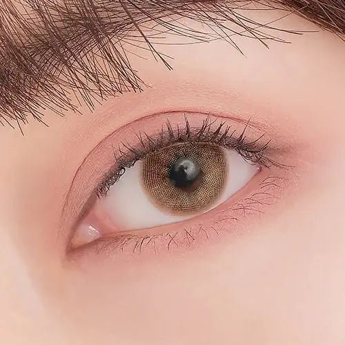 LensTown Romantea Venice Brown Toric — single-eye close-up showing the contact lens appearance